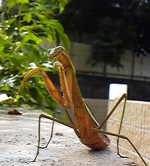 e0114015_22164358.jpg