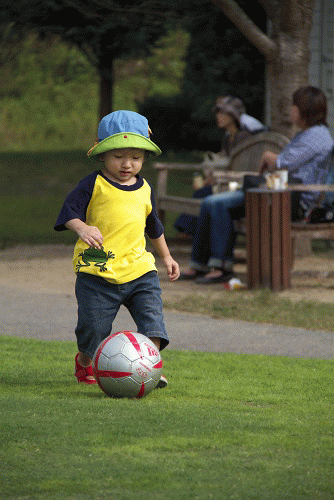 c0089419_2334160.gif