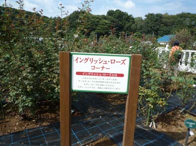 e0158919_18444439.jpg