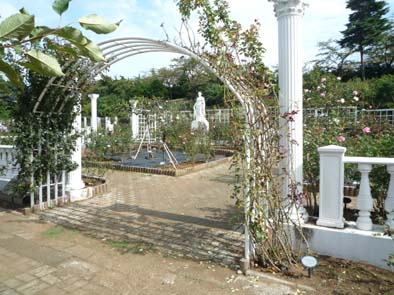 e0158919_18451758.jpg