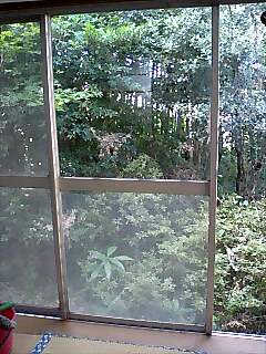 e0091220_1925369.jpg