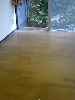 e0091220_1940865.jpg