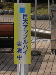 b0147224_18503965.jpg