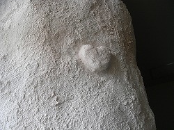 b0144125_19829.jpg