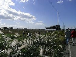 b0144125_19903.jpg