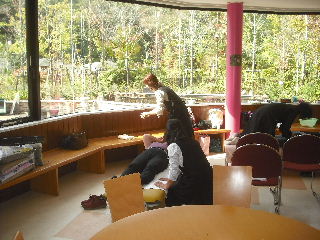 展示会と里山フェスタ_f0031037_2063893.jpg