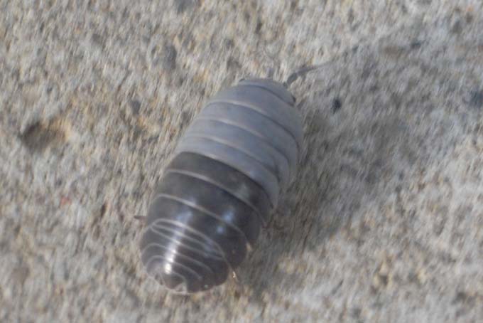f0030644_19453516.jpg