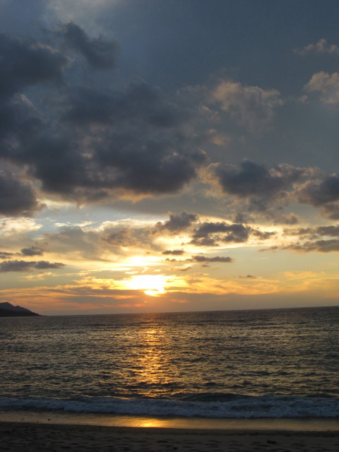 奄美は夏、でした!!_b0188654_01116100.jpg