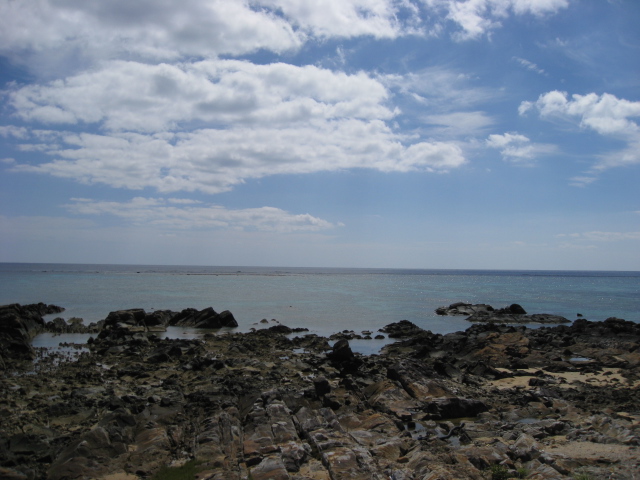 奄美は夏、でした!!_b0188654_07937.jpg
