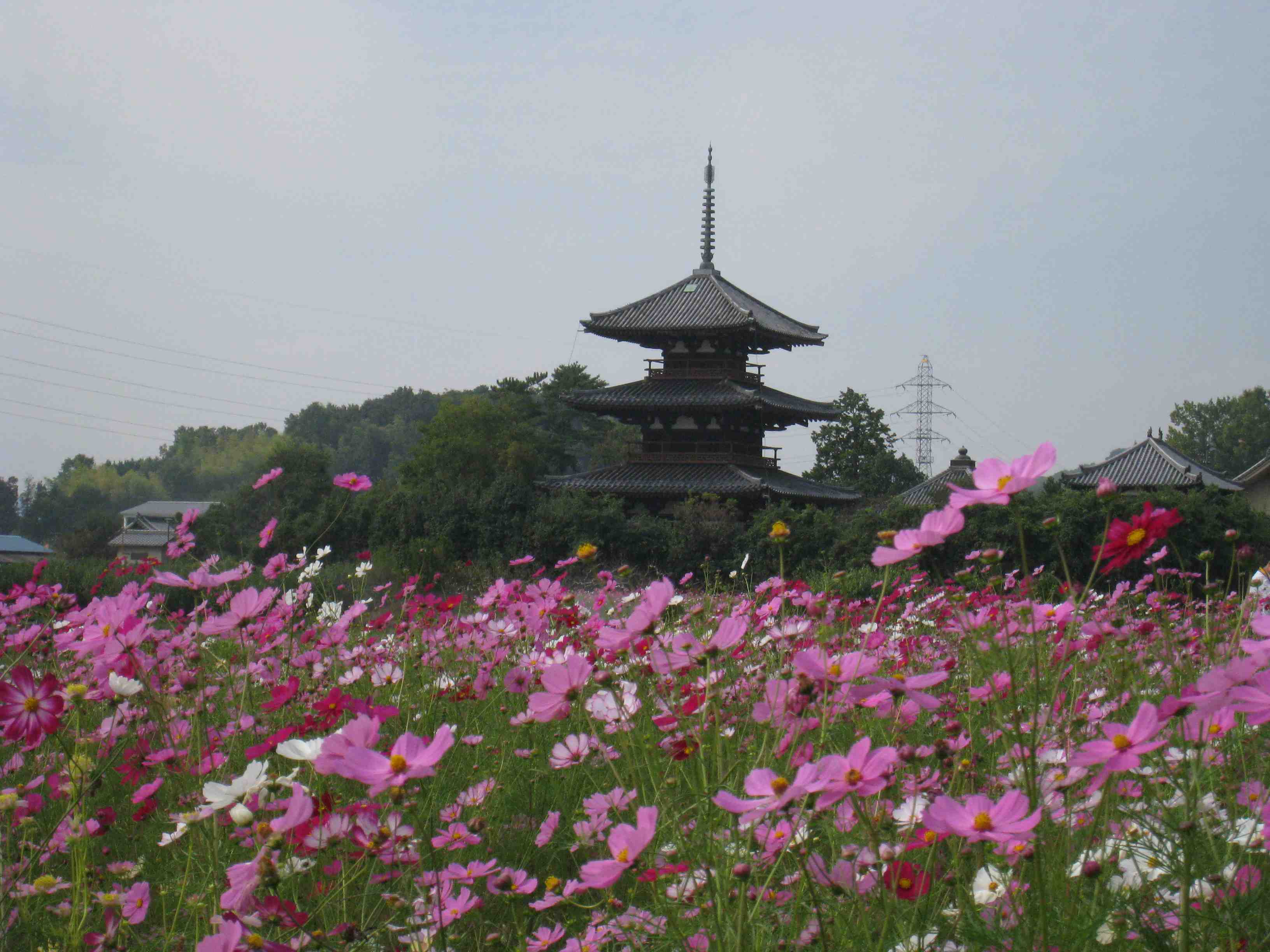 f0233356_1891529.jpg