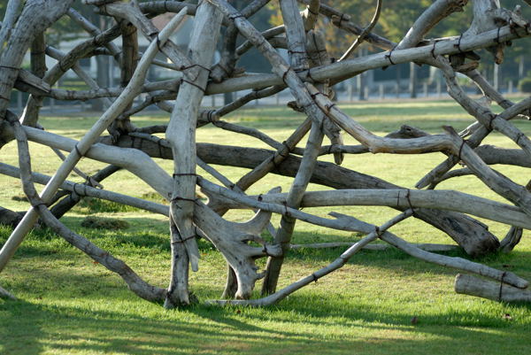 d0006260_11164589.jpg
