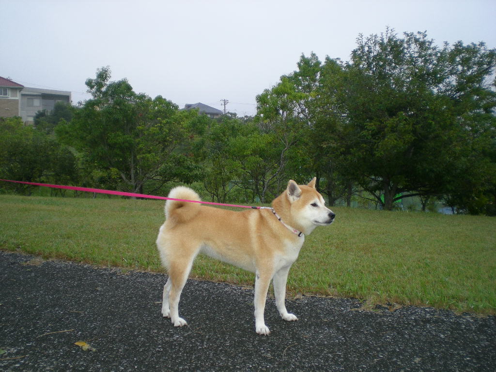 2010年10月16日(土)今はもう誰もいない海~♪_f0060461_9102287.jpg