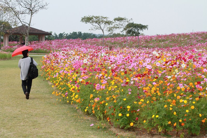 海の中道海浜公園　その2_b0006274_212156.jpg