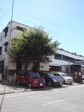 沼津港の「かもめ寿司」で地魚のにぎり寿司、再び。_a0029277_1825556.jpg