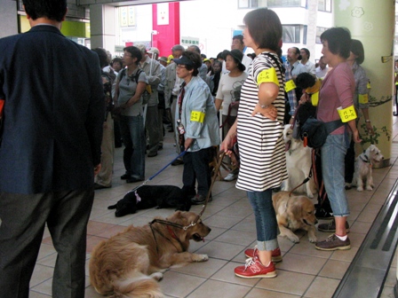 町田市パレードに参加_f0230380_21393278.jpg