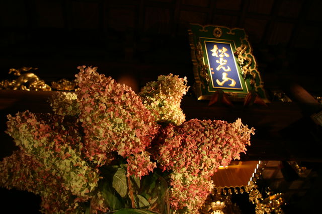 キャンドルナイトLIVE 2010_c0146581_12193860.jpg