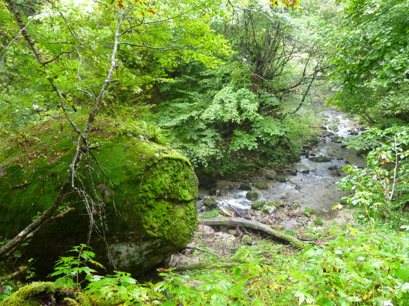 c0180686_5103246.jpg