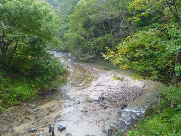 c0180686_582786.jpg
