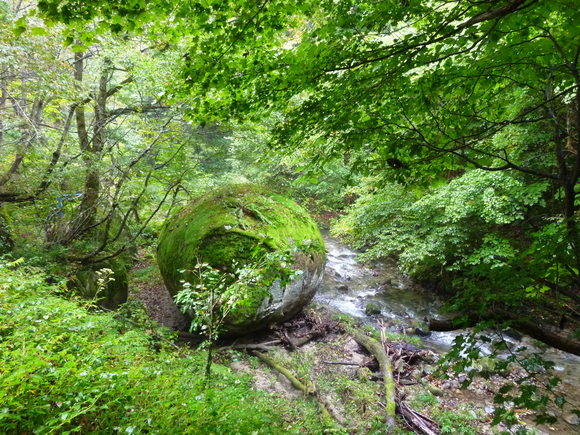 c0180686_5916.jpg