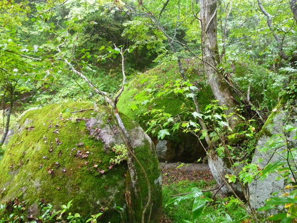 c0180686_592142.jpg