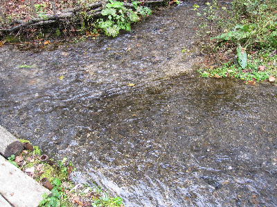 c0171889_21443026.jpg