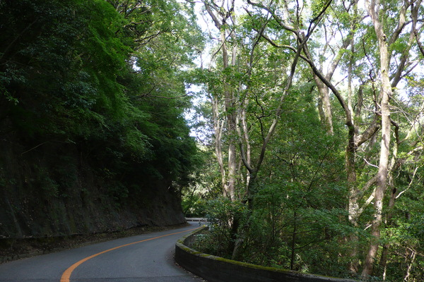 c0190391_14204939.jpg