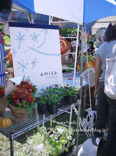 a0150193_5303733.gif
