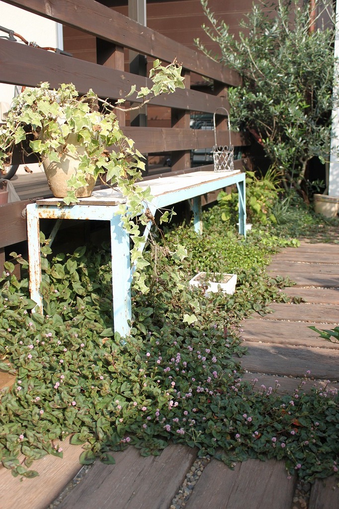 c0222400_865618.jpg
