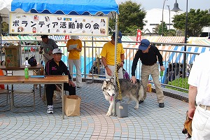 富士市の福祉祭り_d0050503_21412656.jpg