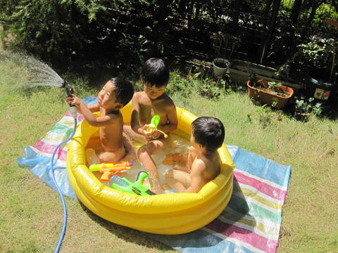 子供 庭 裸 水遊び: ピーチとショコラのわんご飯