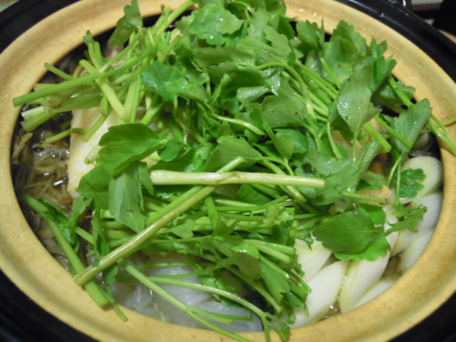 e0028505_6185613.jpg