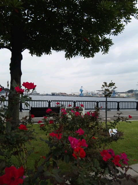 b0112509_1935892.jpg