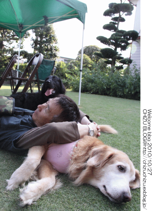 c0017311_20123636.gif