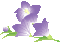d0019913_22343419.gif