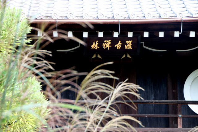 鷹ヶ峰 源光庵_e0048413_1273463.jpg