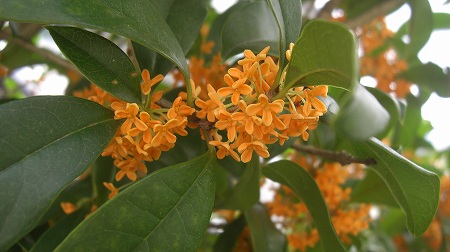 b0145715_09385.jpg