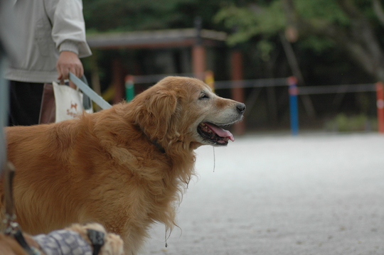 お持ち帰りください_b0203018_1651648.jpg