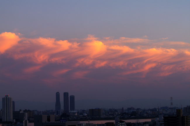 a0145825_21484241.jpg