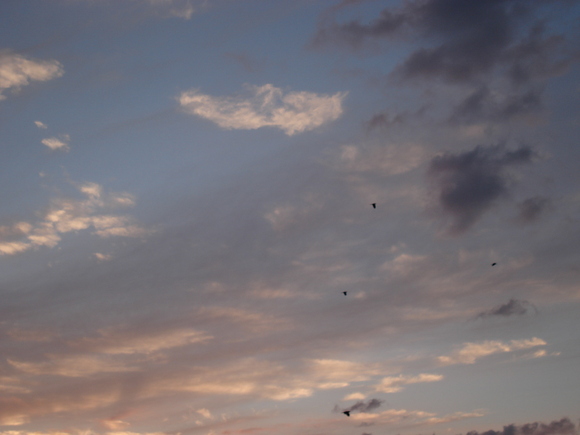 a0040929_20385611.jpg