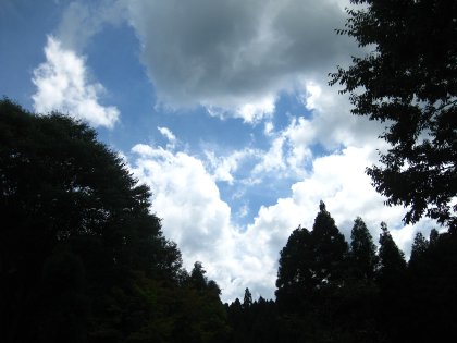 b0207632_1826631.jpg