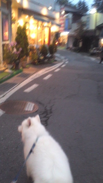 軽井沢 その1_c0099133_00389.jpg