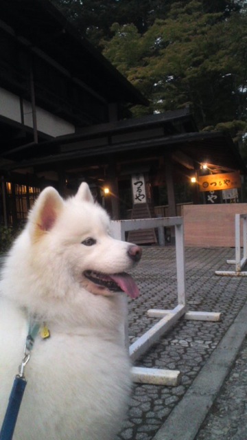 軽井沢 その1_c0099133_23594418.jpg