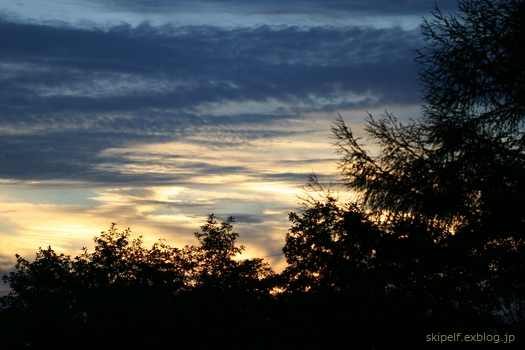 c0134734_20119.jpg