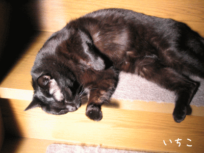 a0166338_12351953.gif