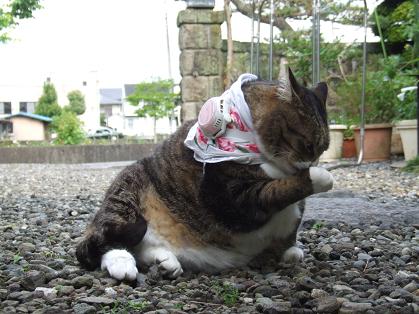 冬は早いほうがいいのか?_b0089338_23332761.jpg