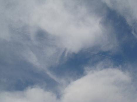 a0014840_22441764.jpg
