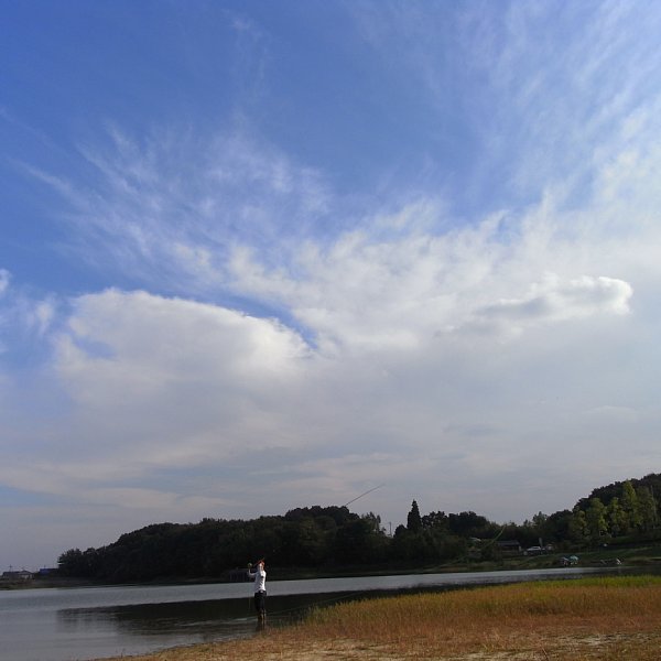 b0165444_035288.jpg