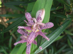 f0031546_1791380.gif