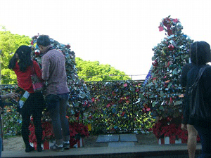 f0203249_3505285.gif