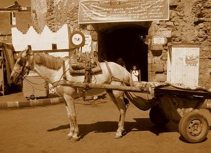 Equinox Ceremony_a0110150_2234719.jpg